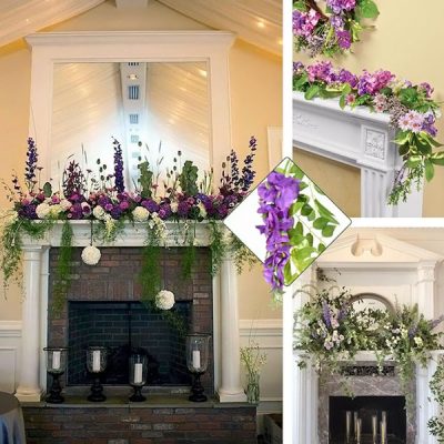 Клонка Глициния Цветна лоза | WISBLOOM