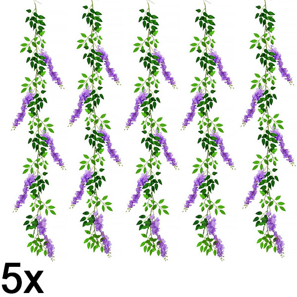 5x Клонка Глициния Цветна лоза | WISBLOOM