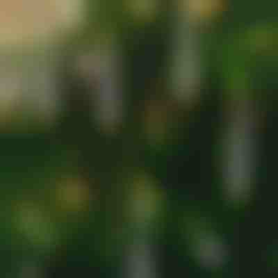 Безпламъчни трептящи свещи (6 бр.) | CANDLEA